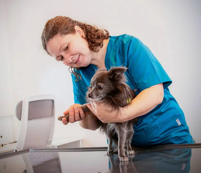 Tierärztin Susanne Fink mit Hund