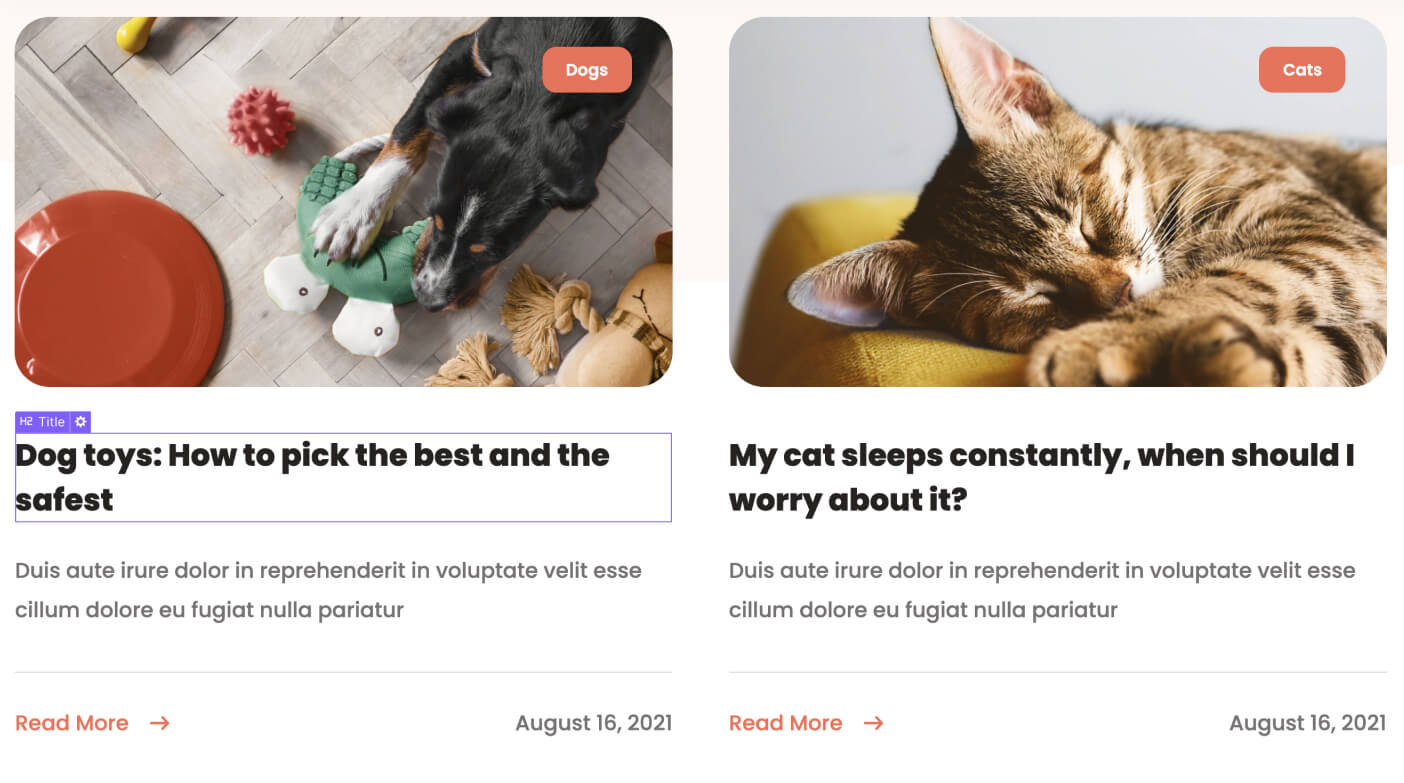 Dynamic Content CMS - Veterinary X Webflow Template
